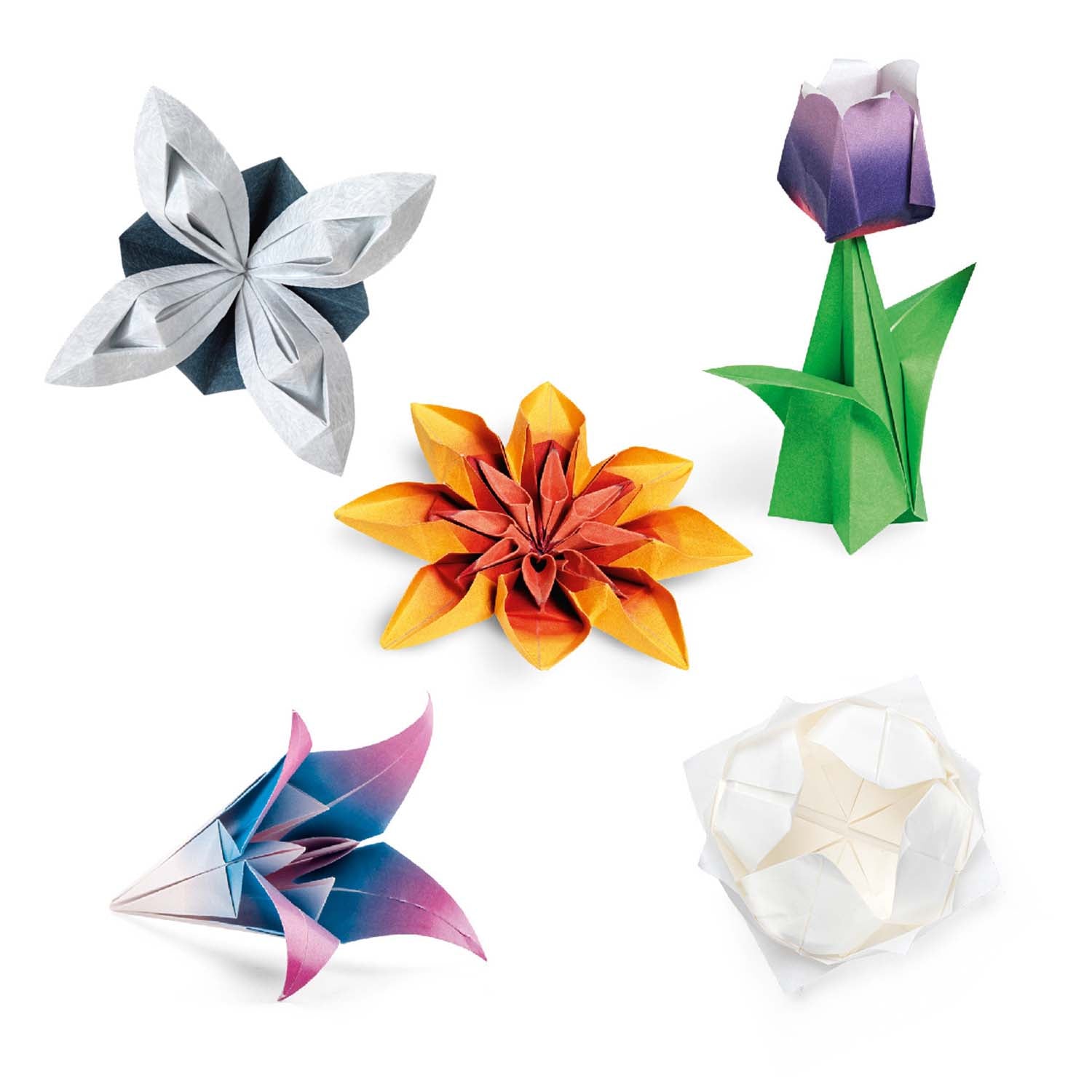 Strappa e piega - Origami fiori NE