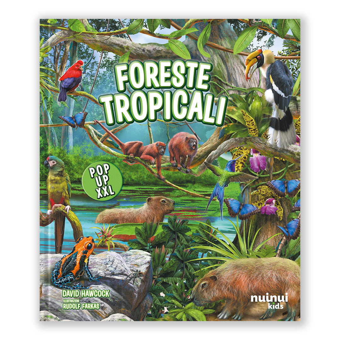 Pop up XXL - Foreste tropicali