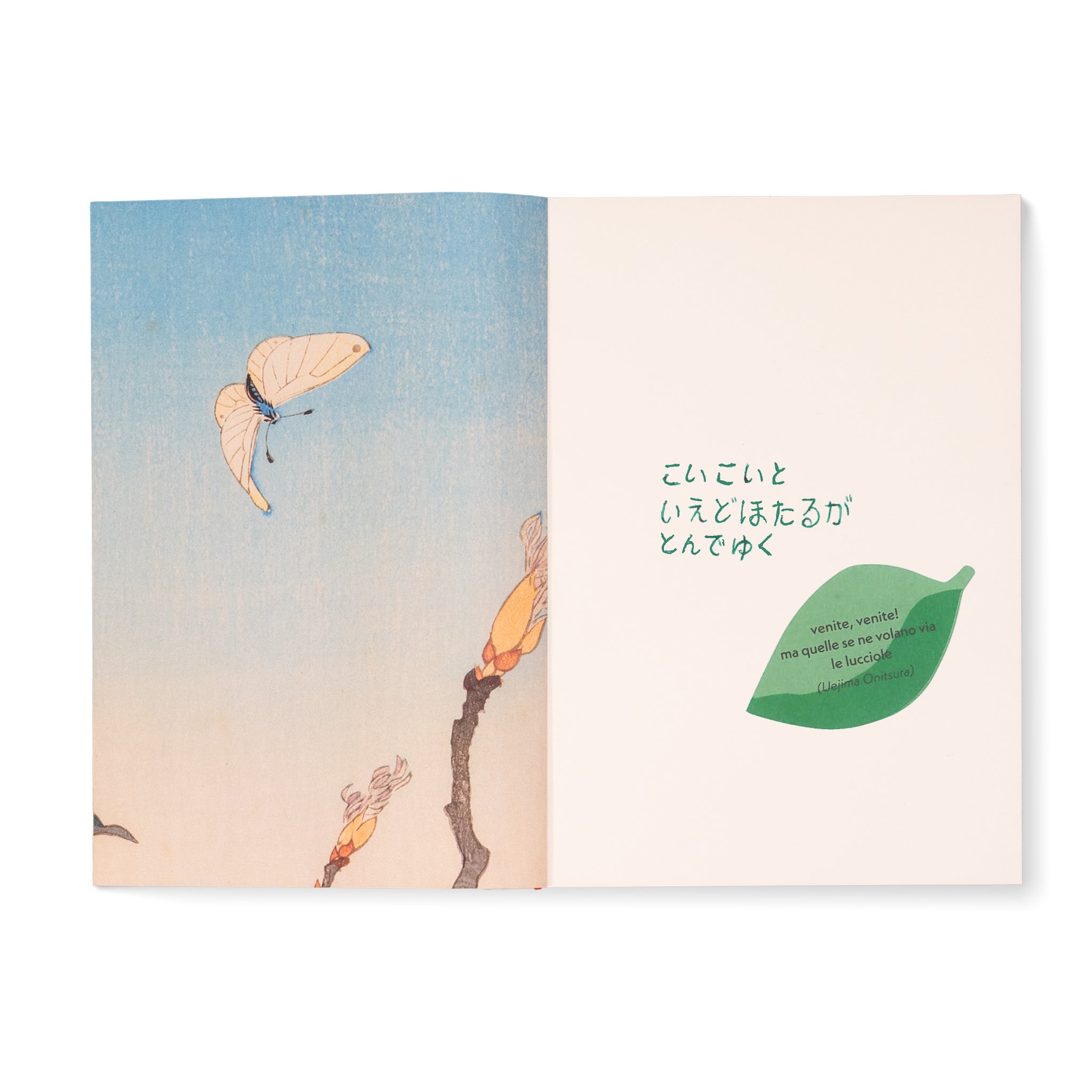 Sketchbook medio - Koson Ohara - Peonia con farfalla