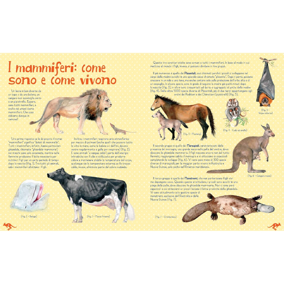 Animali del mondo. Con App - Anne McRae - Libro - Fabbri - | Feltrinelli Animali del mondo. Con App - Anne McRae - Libro - Fabbri - | Feltrinelli