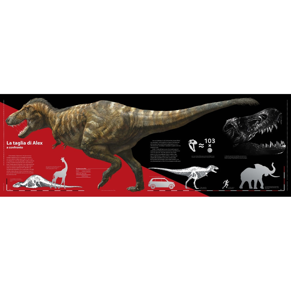 T-rex - Il re dei dinosauri NE
