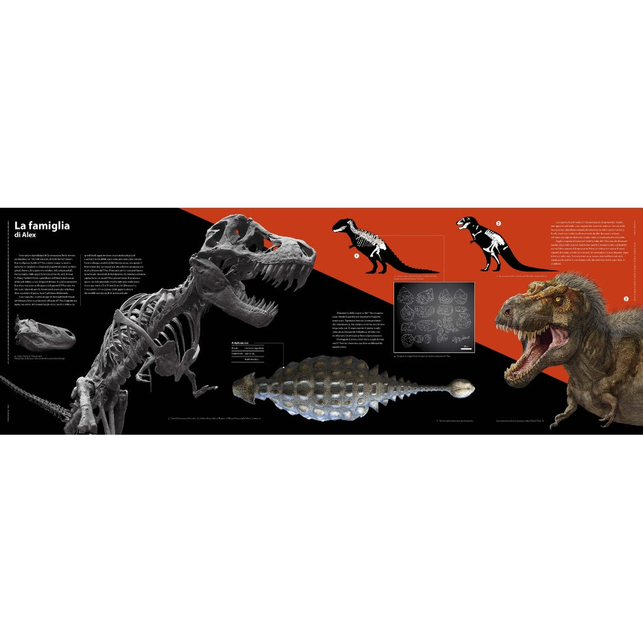 T-rex - Il re dei dinosauri NE