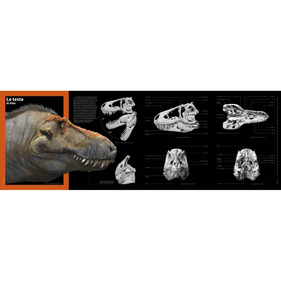 T-rex - Il re dei dinosauri NE