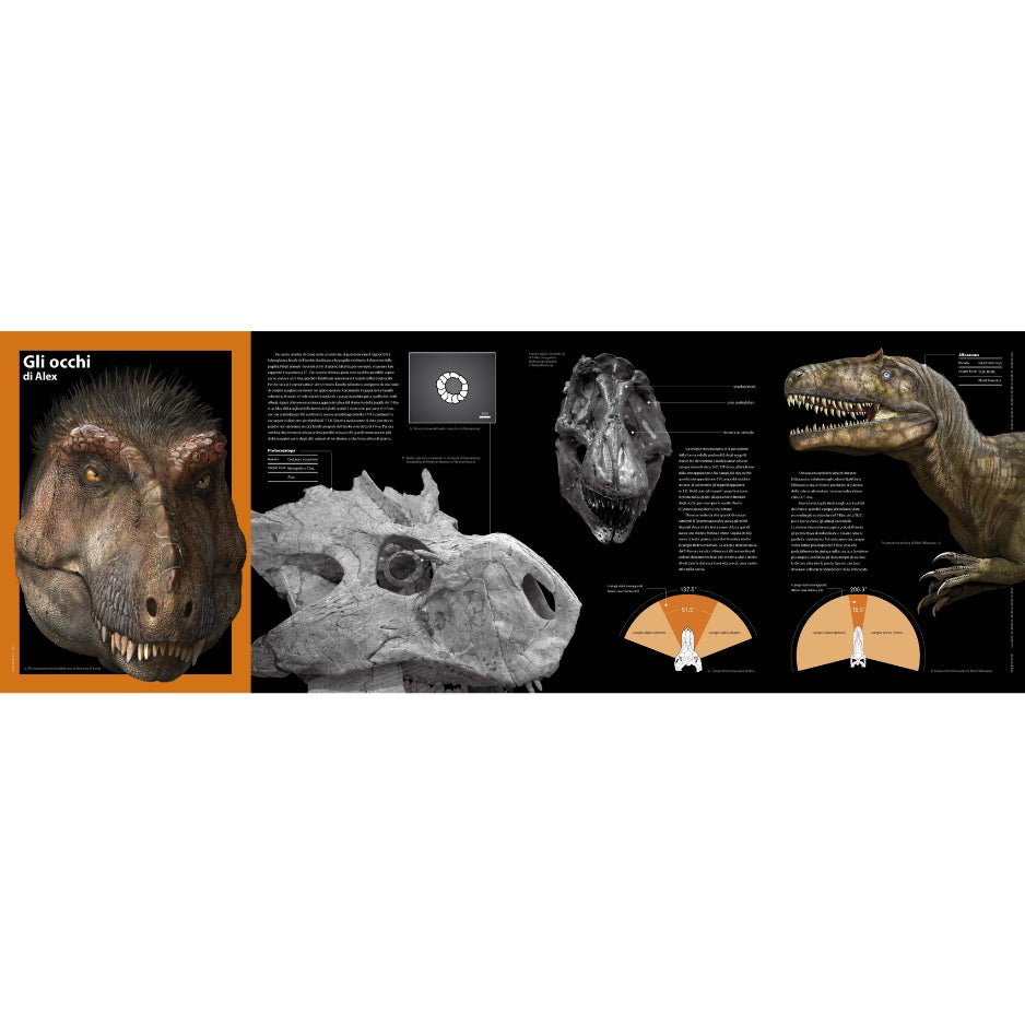 T-rex - Il re dei dinosauri NE
