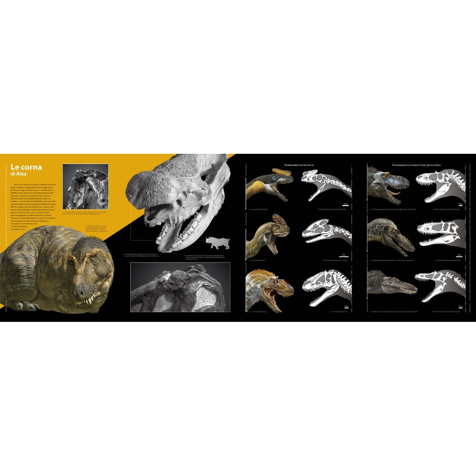T-rex - Il re dei dinosauri NE