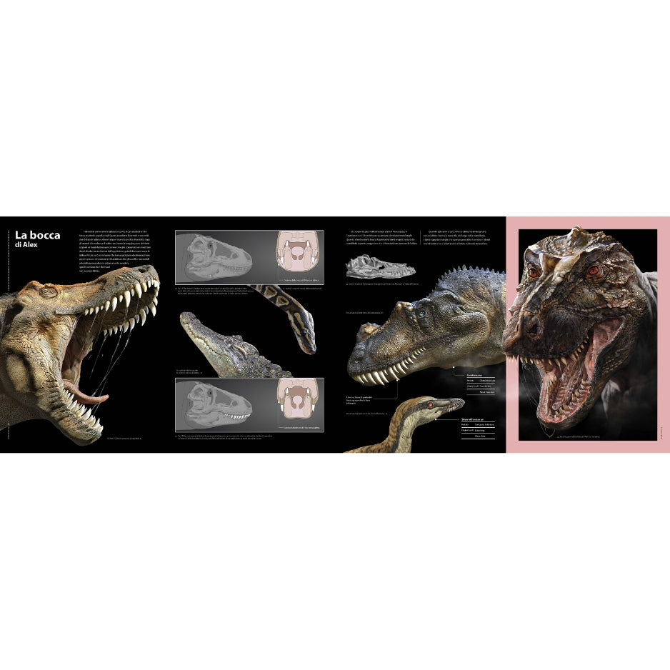 T-rex - Il re dei dinosauri NE