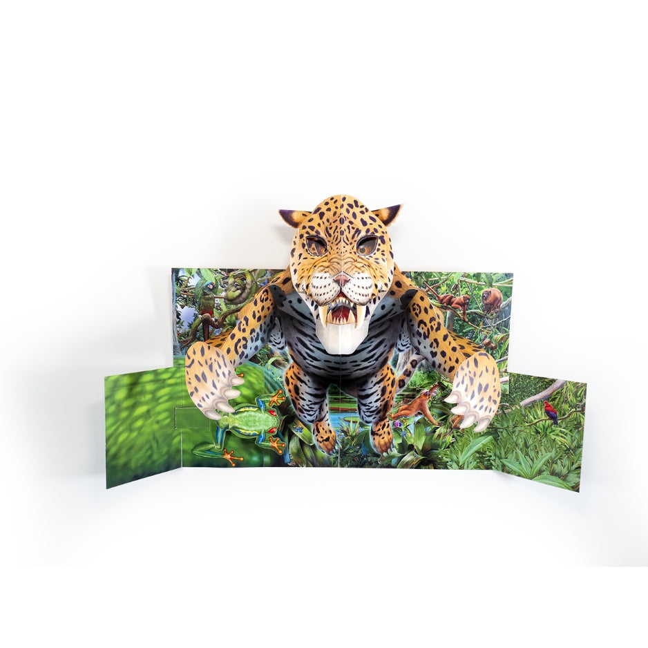 Pop up XXL - Foreste tropicali