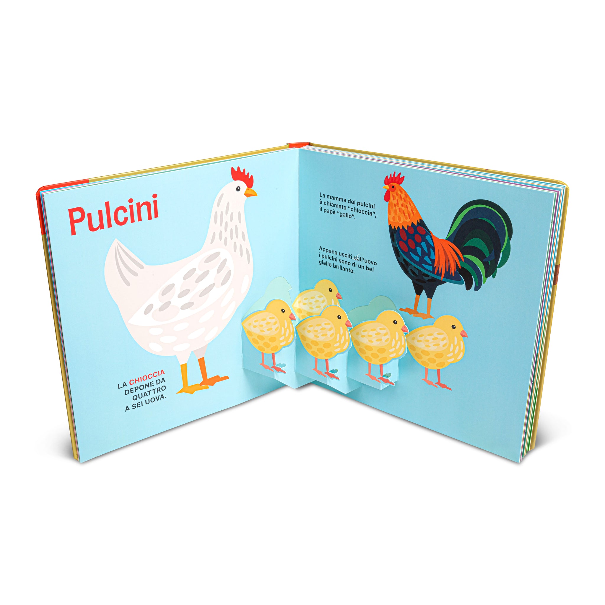 Super pop up - Cuccioli di animali