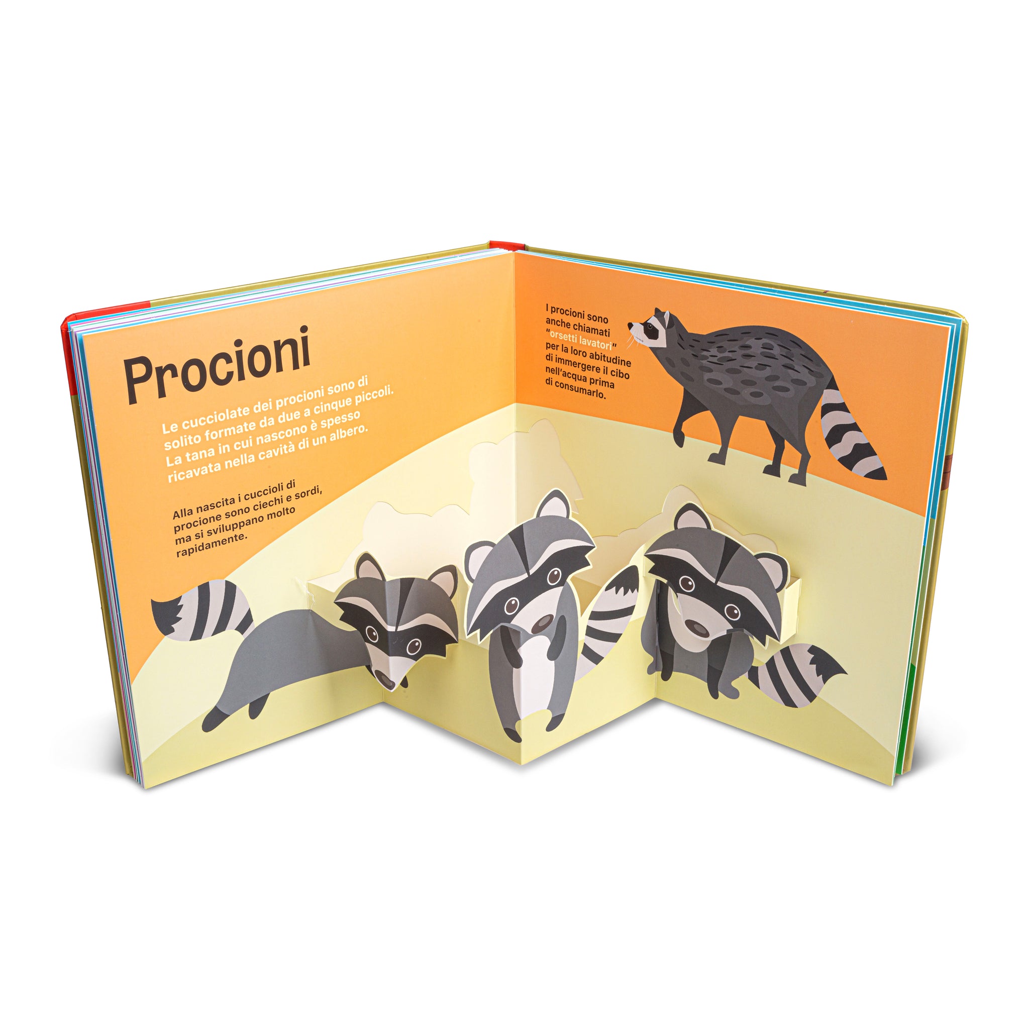 Super pop up - Cuccioli di animali