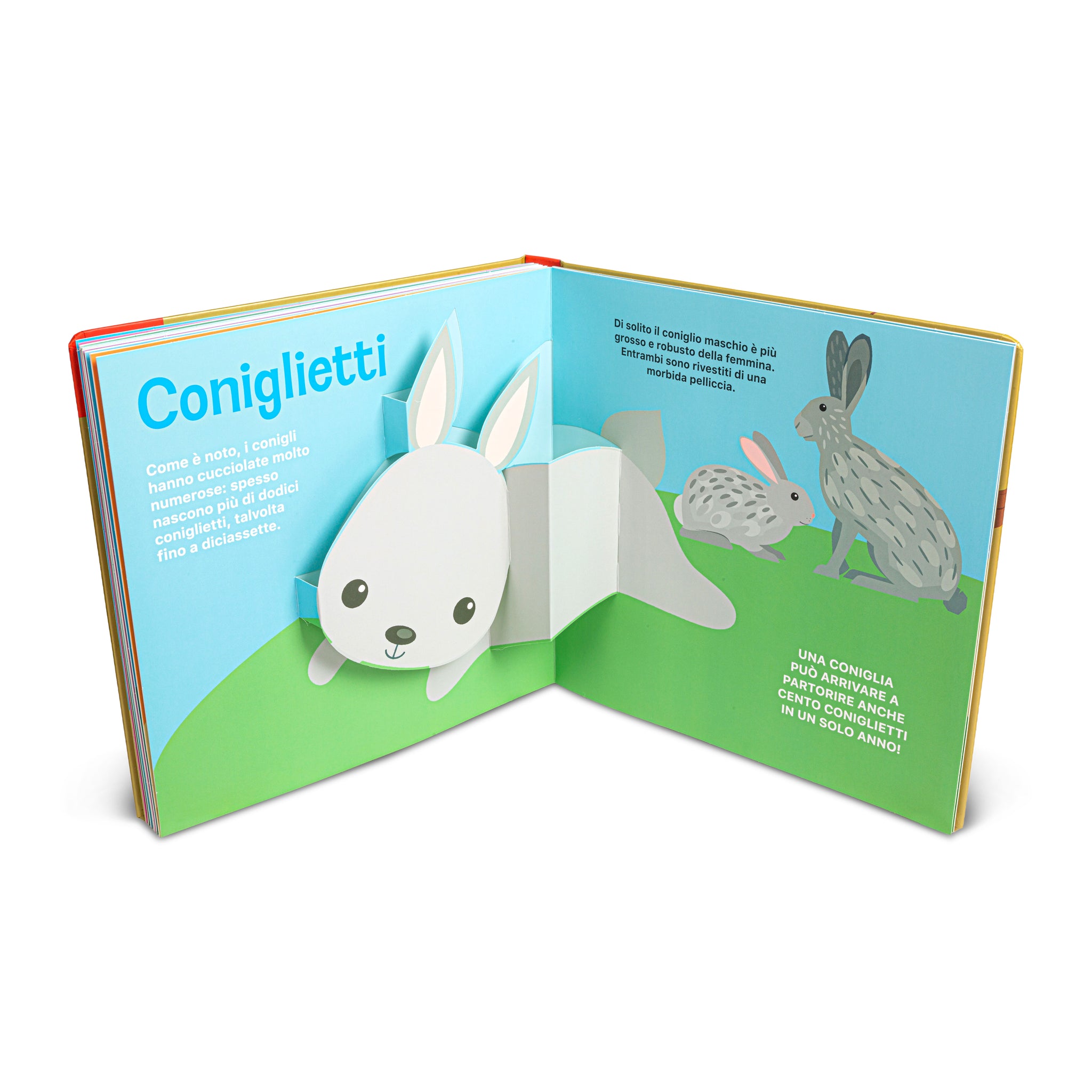 Super pop up - Cuccioli di animali