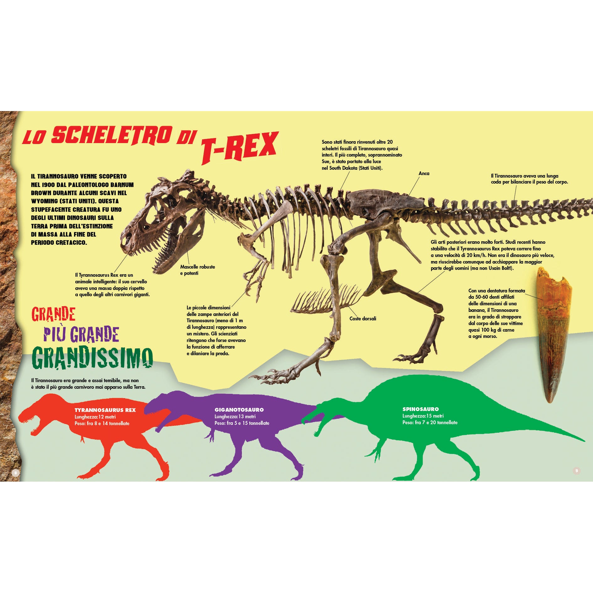 T-Rex - Costruisci il tuo dinosauro gigante in 3D