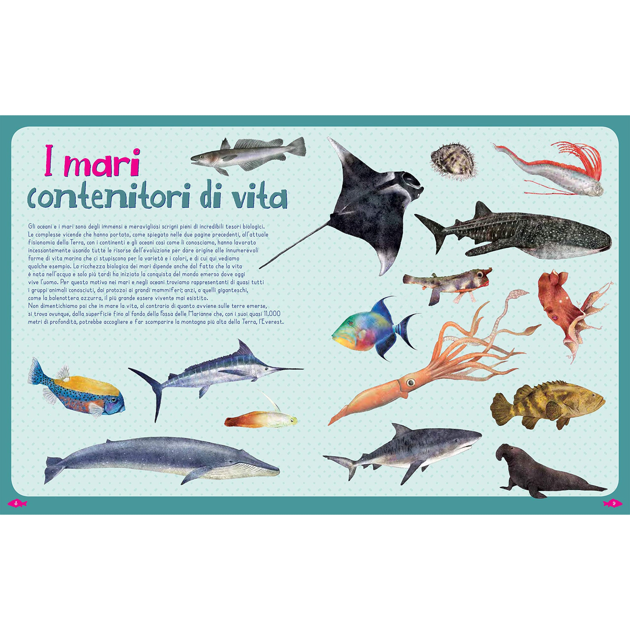 Fish of the world and other marine animals
