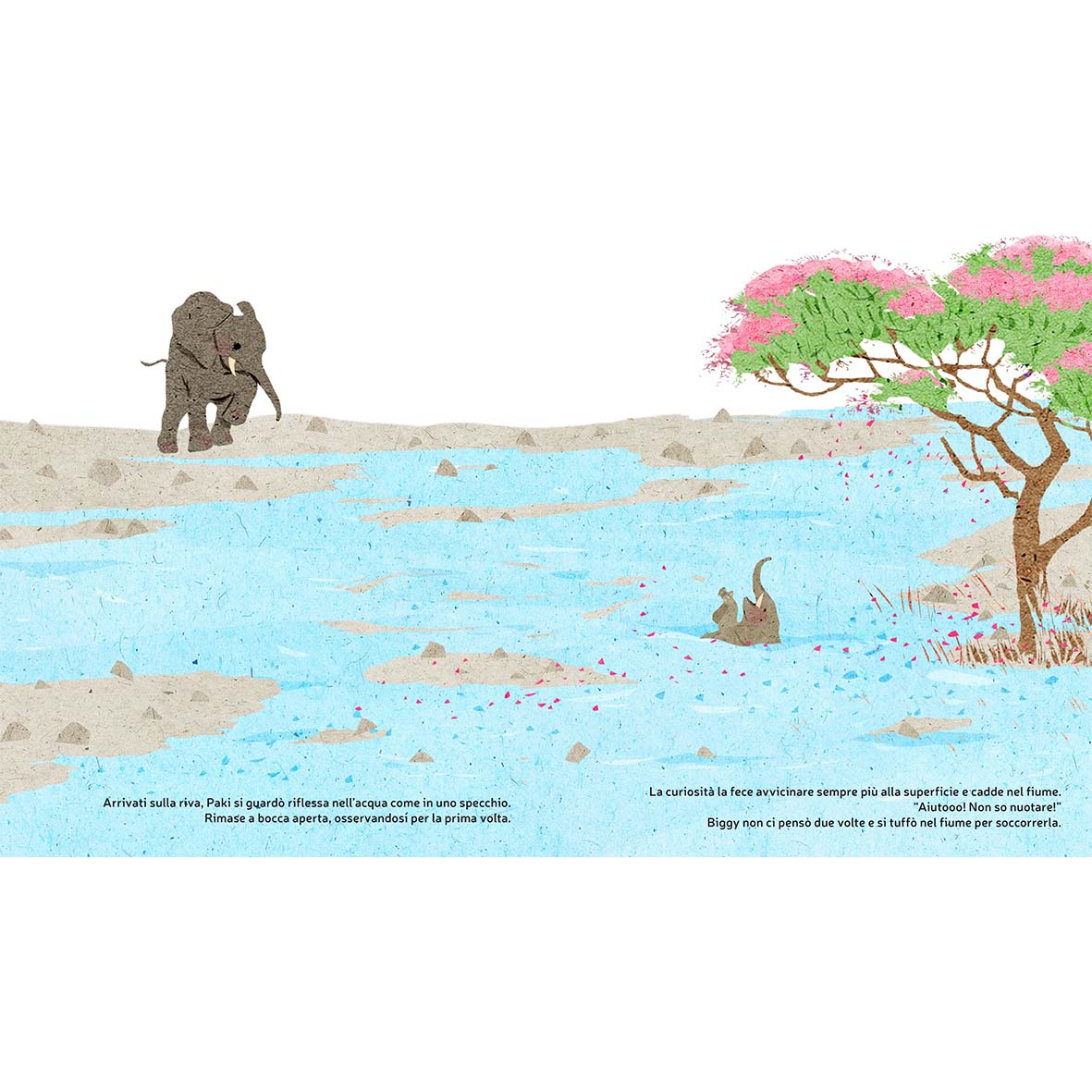 Paki and Biggy - elephants in the savannah