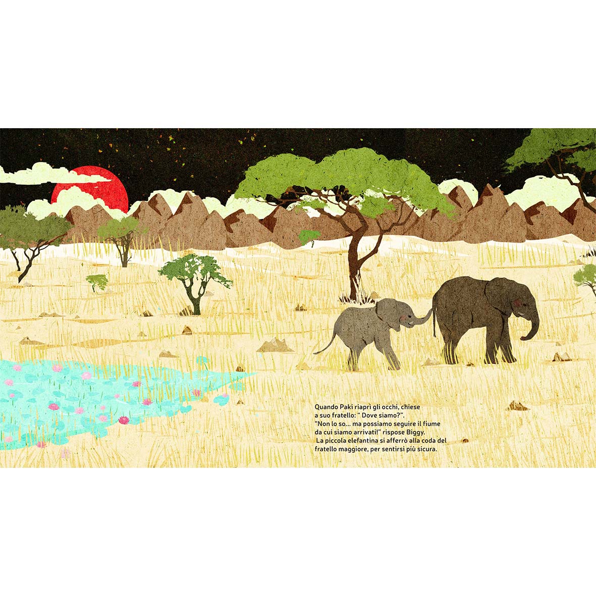 Paki and Biggy - elephants in the savannah