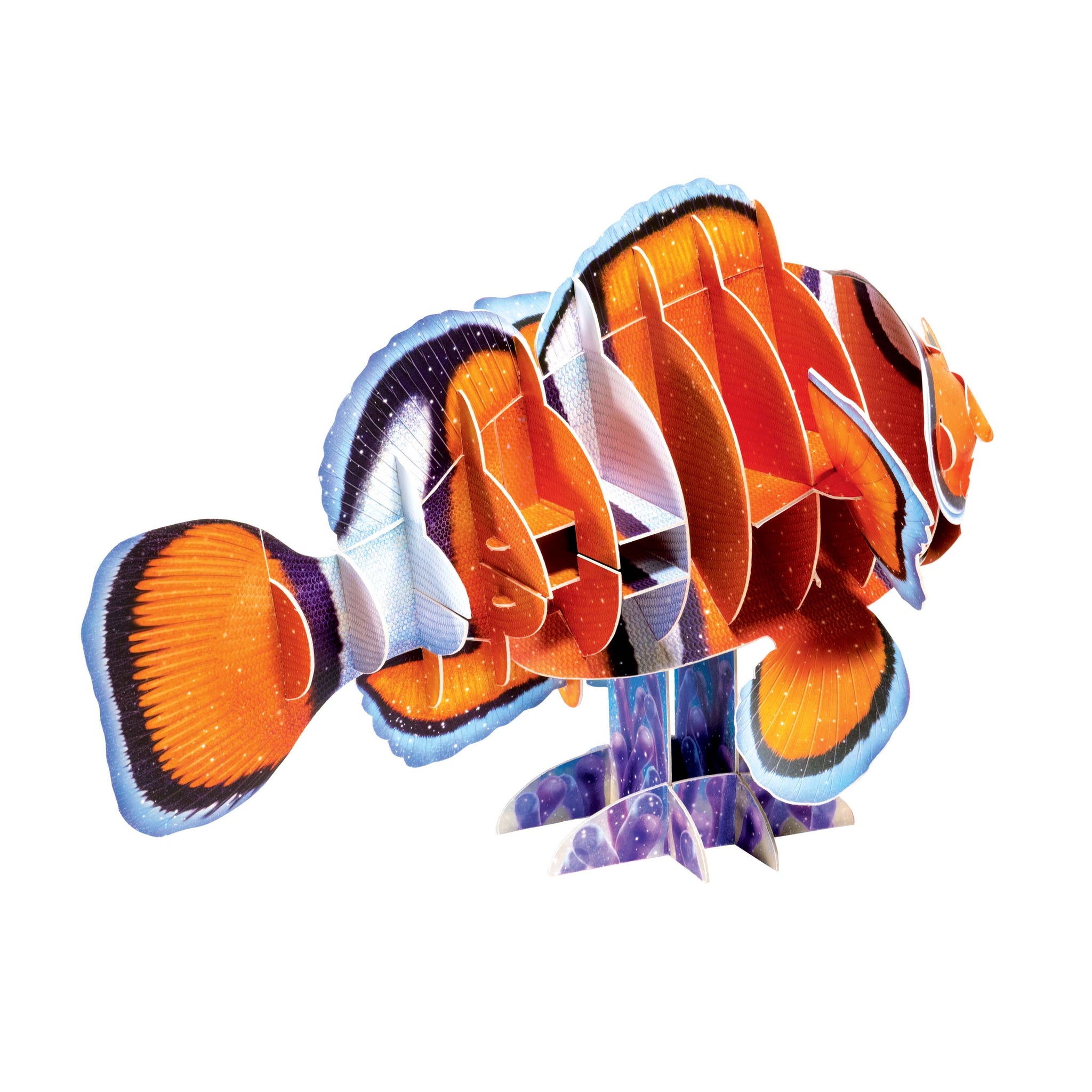 Costruisci in 3D - Il tuo pesce pagliaccio gigante