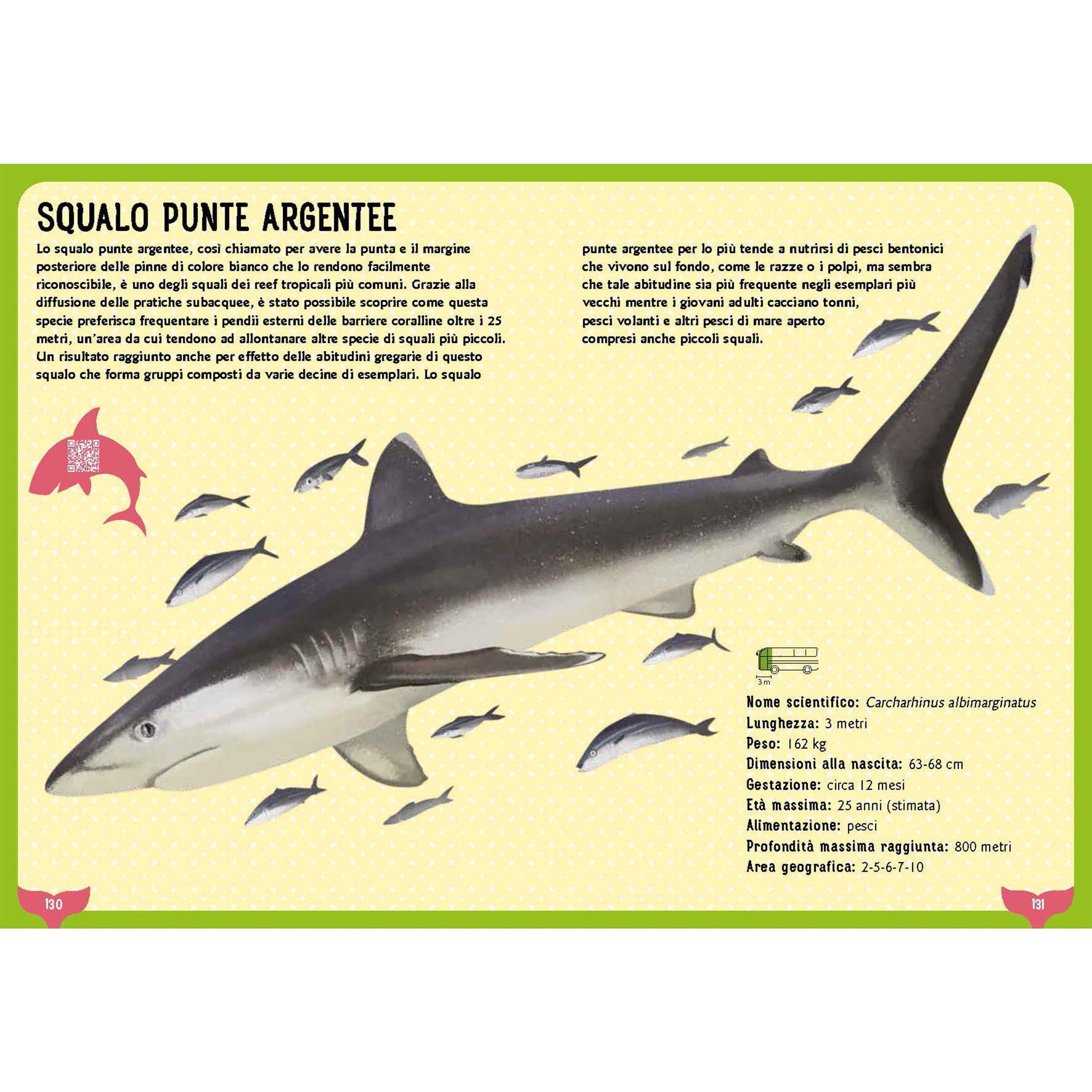 SHARKS, WHALES AND OTHER GIANTS OF THE SEA - An illustrated guide for children aged 0 to 109