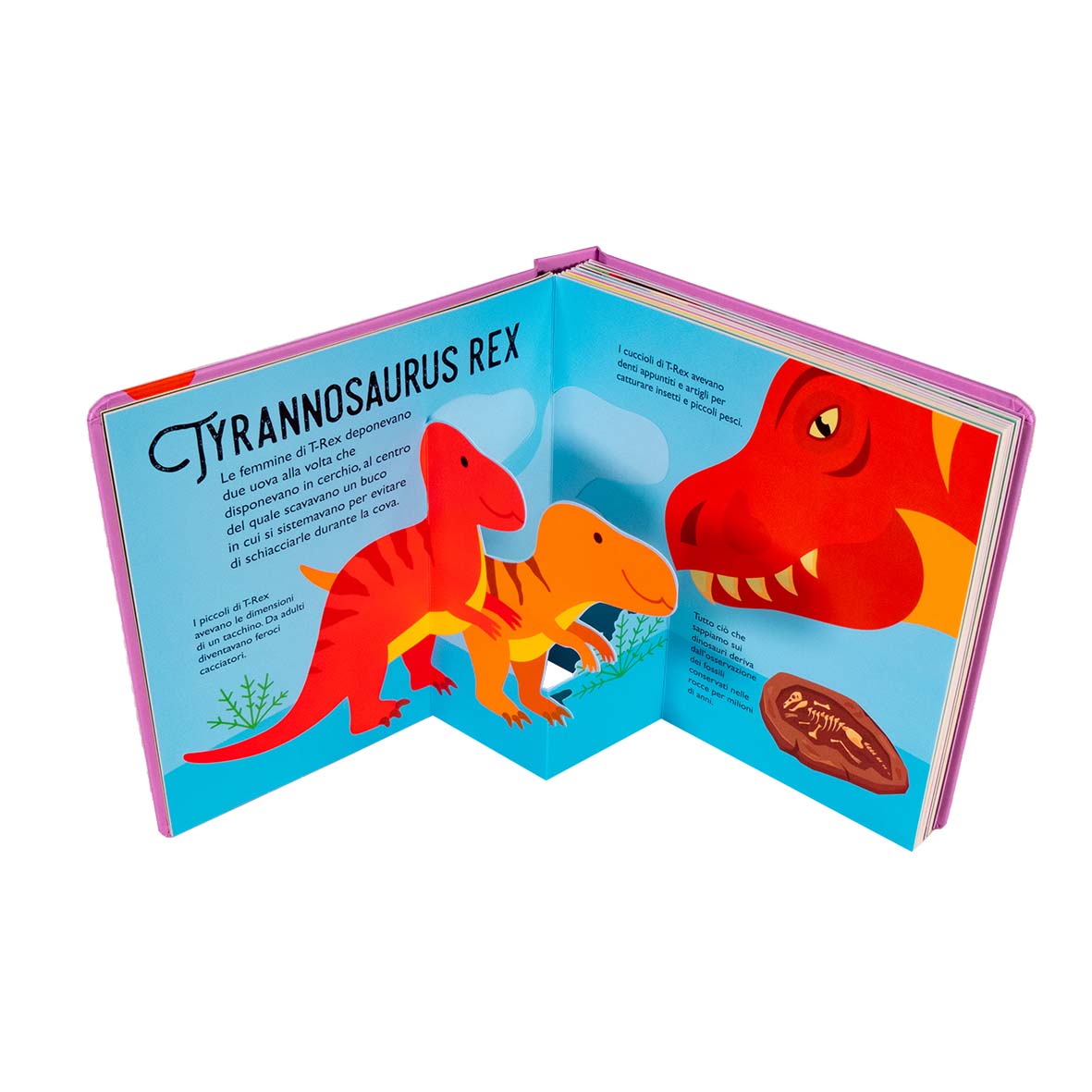 Cuccioli di dinosauro - Sorprendenti pop up