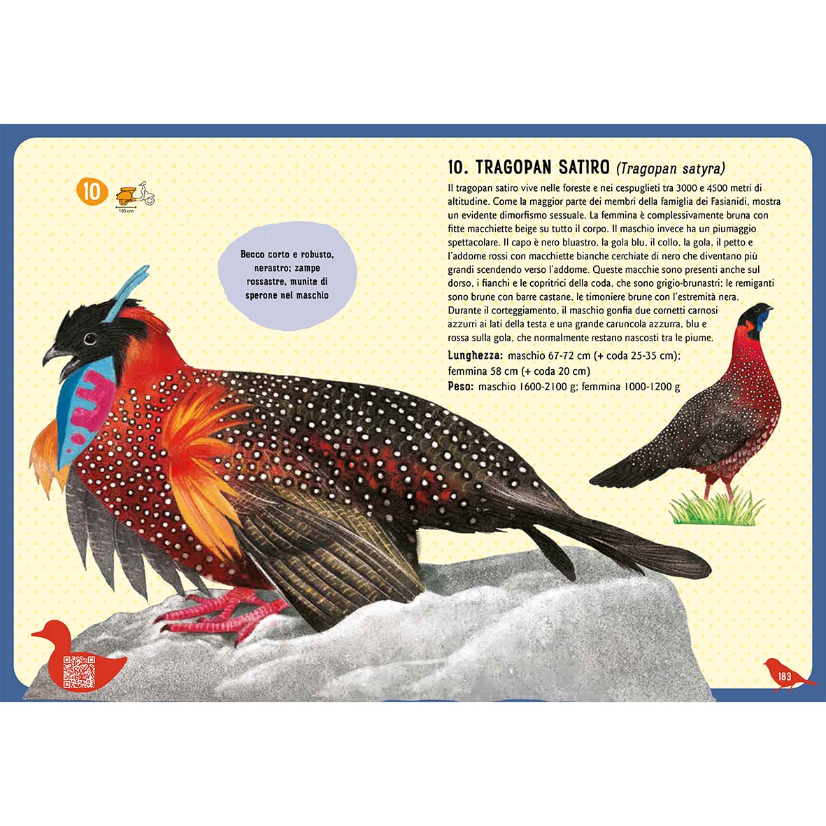 Birds of the World - An illustrated guide for children aged 0 to 109