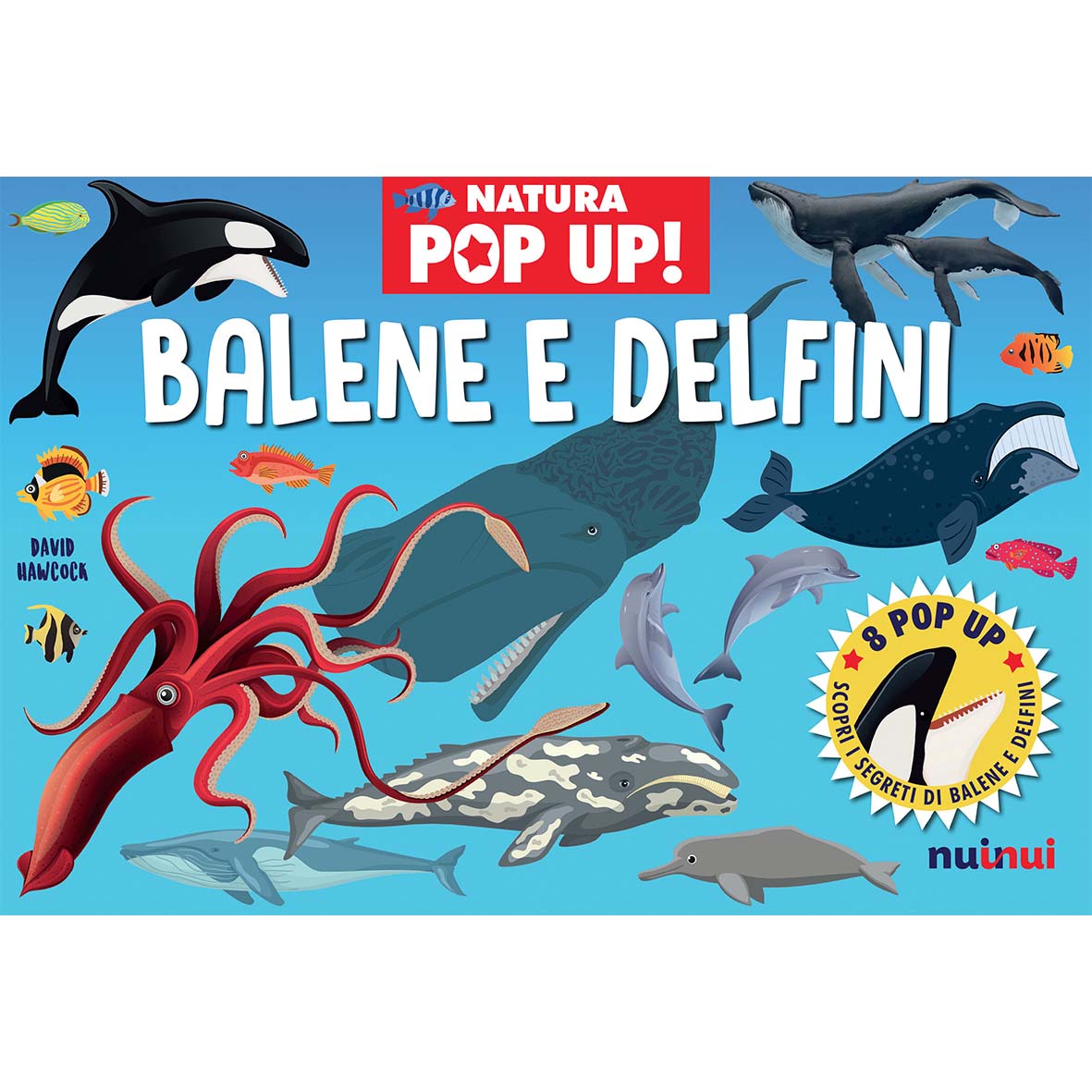 Natura in Pop Up - Balene e delfini