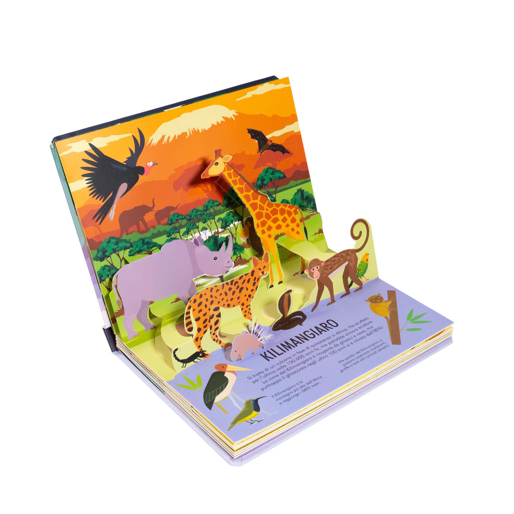 Natura Pop Up Animali Selvaggi NuiNui natura-pop-up-animali-selvaggi-nuinui