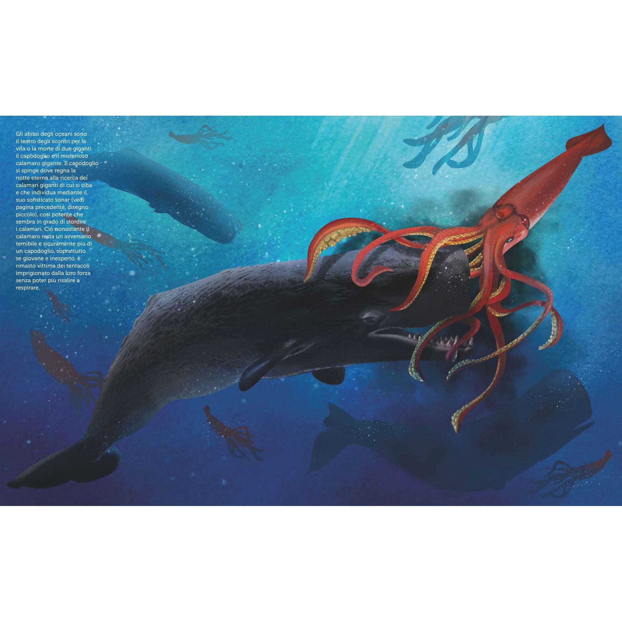 Oceano XXL - Squali, balene, orche, calamari e altri giganti del mare