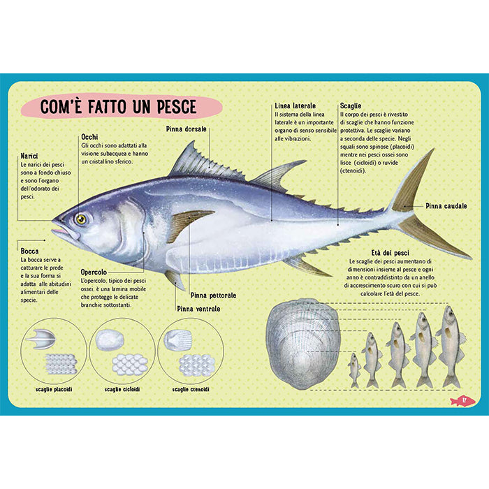 FISHES OF THE WORLD An illustrated guide for children aged 0 to 109