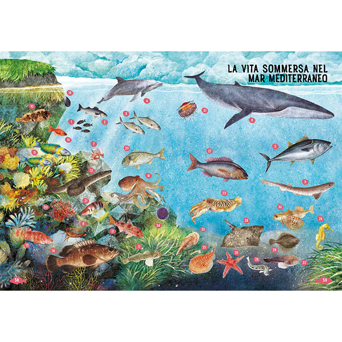 FISHES OF THE WORLD An illustrated guide for children aged 0 to 109