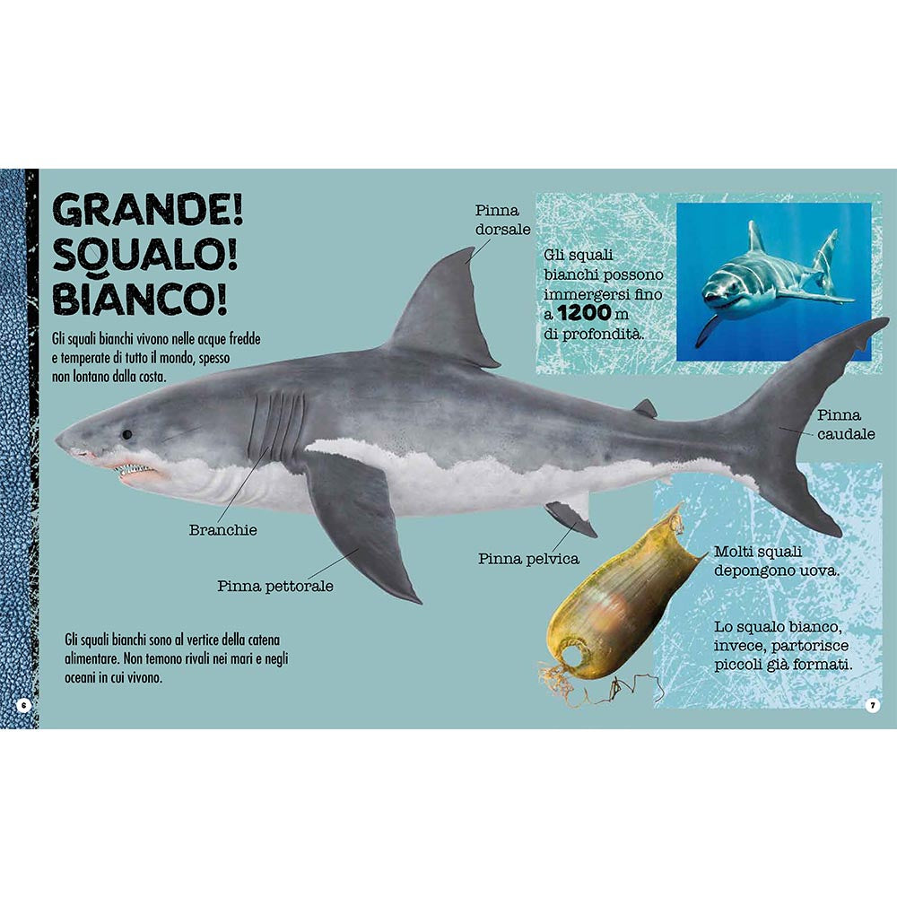 Build your own giant shark in 3D